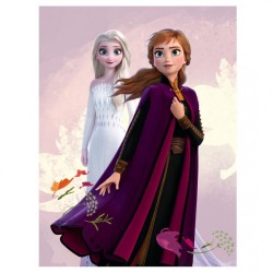 Παδικό σετ Frozen Elsa and Anna 3τμχ  κουβέρτα ρολόι και χτένα 