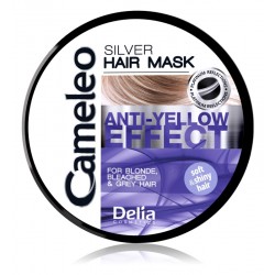 Delia Cameleo Silver Mask 250ml μάσκα μαλλιών για  εξουδετέρωση κίτρινων αποχρώσεων